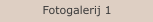 Fotogalerij 1
