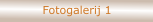 Fotogalerij 1